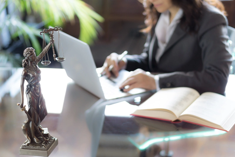 وکیل حرفه ای